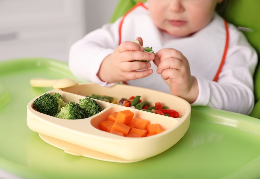 Paediatric Feeding Therapy